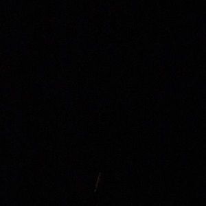 Meet your Posher, Devon